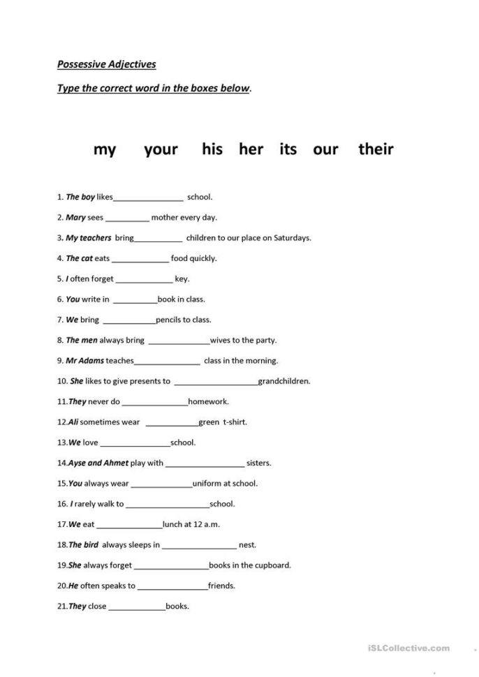 Possessive Adjectives English Esl Worksheets Db excel