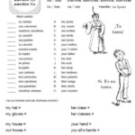 Possessive Adjectives Worksheet 1 FREE At PrintableSpanish