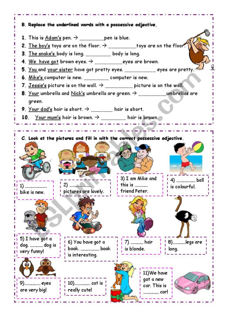 Possessive Adjectives Worksheet Possessive Adjectives Adjectives 