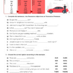 Possessive Pronouns Online Pdf Worksheet