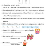 Pronouns And Pronoun Adjectives Worksheet