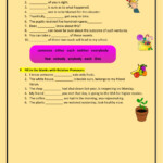 Pronouns mixed Worksheet