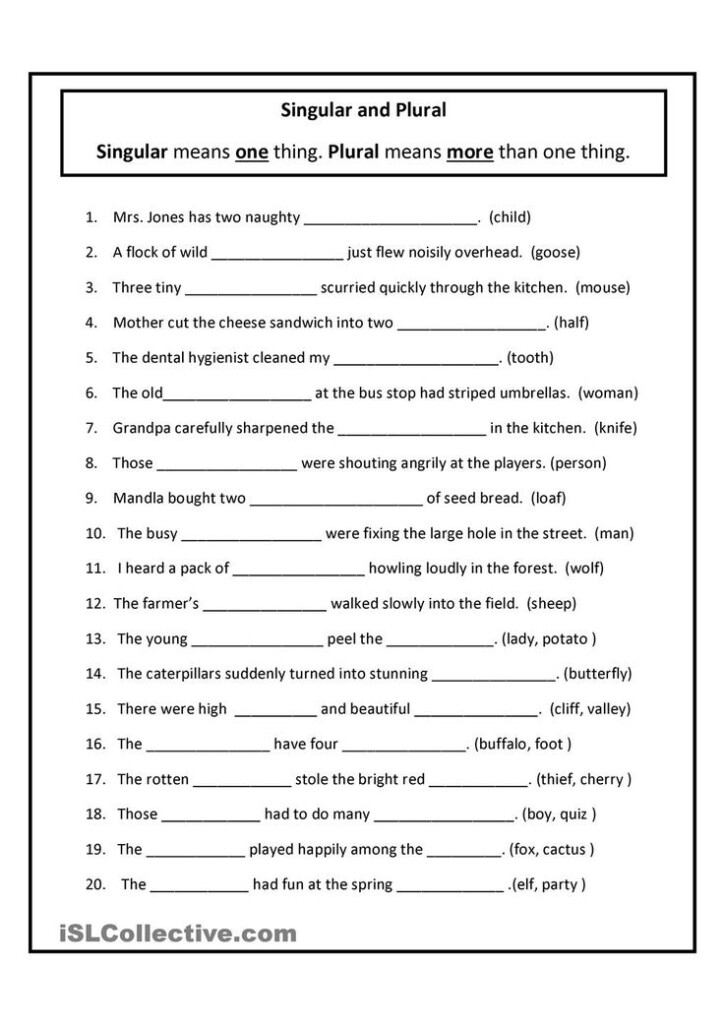 Singular And Plural Plurals Worksheets English Grammar Worksheets 