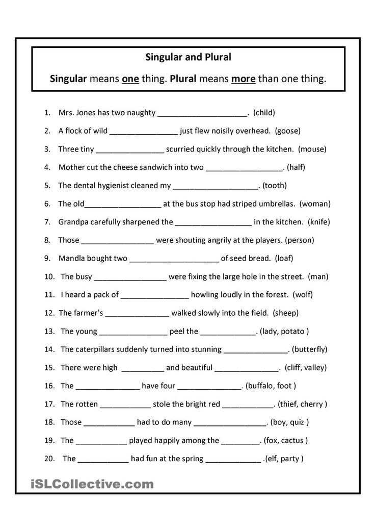 Singular And Plural Plurals Worksheets English Grammar Worksheets