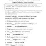 Singular Possessive Nouns Worksheets Possessive Nouns Singular