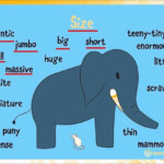 Size Adjectives Kids Learning Adjectives Listen To Reading