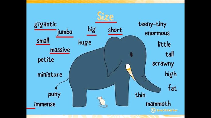 Size Adjectives Kids Learning Adjectives Listen To Reading