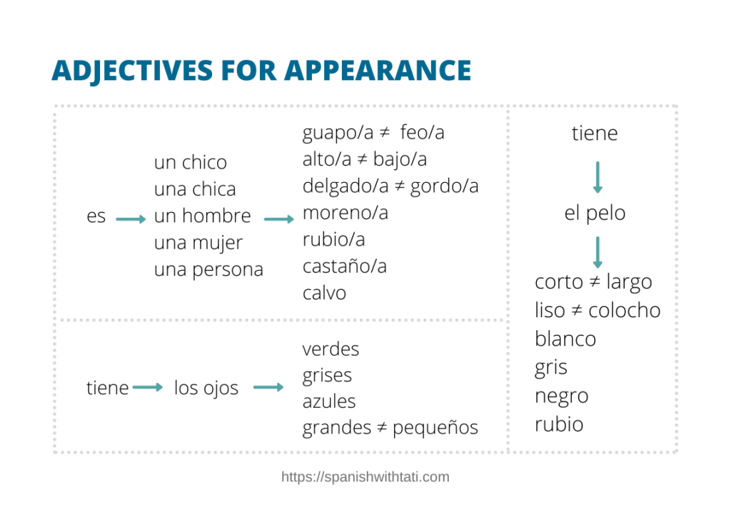 Spanish Adjectives For Physical Appearance And Personality Spanish 