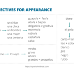 Spanish Adjectives For Physical Appearance And Personality Spanish