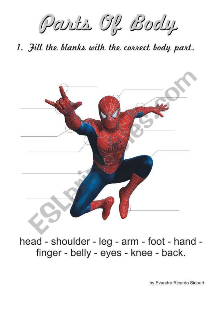 Spider Man Worksheet Vocabulary Worksheets Esl Worksheets English 