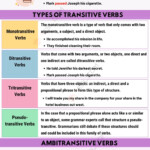 Transitive Verb Definition Types Of Transitive Verbs With Useful