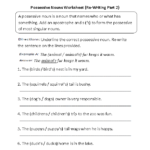 Worksheet 1 Possessive Adjectives Answers