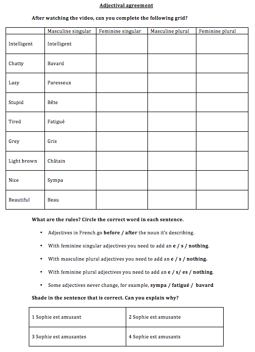 Year 8 French Adjective Agreement CLF Online Learning