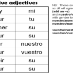 12 Spanish Possessive Adjectives Worksheet Worksheeto