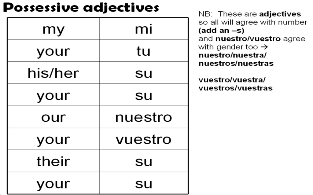 12 Spanish Possessive Adjectives Worksheet Worksheeto