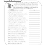16 Printable Adjective Worksheets 4th Grade Worksheeto