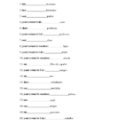 16 Spanish Possessive Adjectives Worksheet PDF Worksheeto