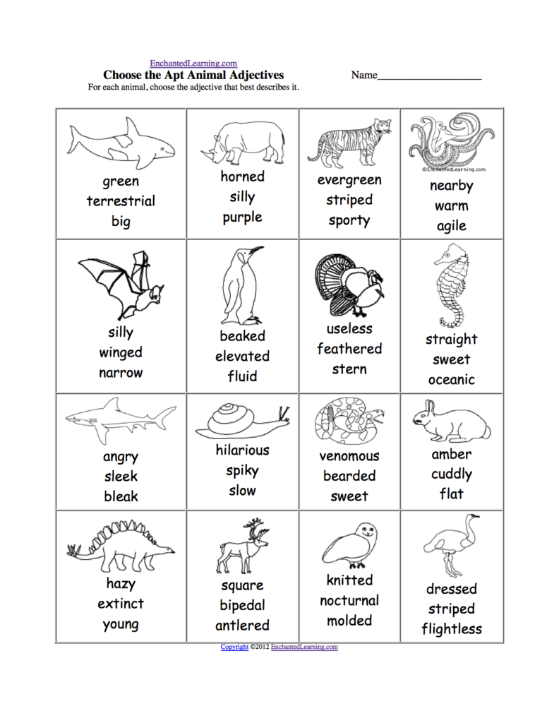 Adjective Activities And Worksheets EnchantedLearning