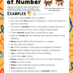 Adjective Of Number Examples List Worksheet EnglishGrammarSoft