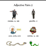 Adjective Pairs 2 Latin Quotes Latin Phrases Latin Words Latina