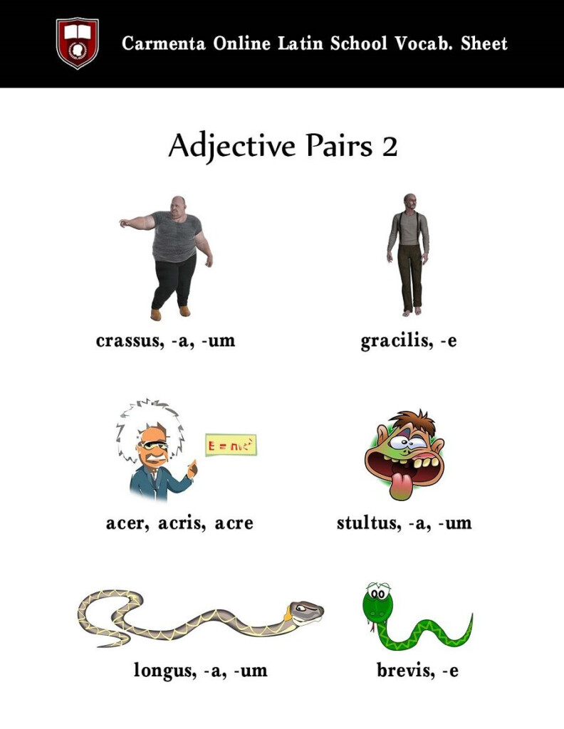 Adjective Pairs 2 Latin Quotes Latin Phrases Latin Words Latina 