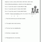 Adjective Review Worksheet