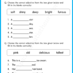 Adjective Worksheets 5th Grade