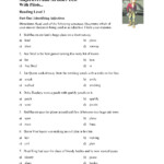 Adjectives And Articles Test With Pilots Reading Level 1 Preview