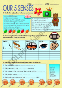 ADJECTIVES RELATED TO THE FIVE SENSES ESL Worksheet By Maytechuna ...