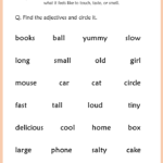 Adjectives worksheet for 1st grade Your Home Teacher