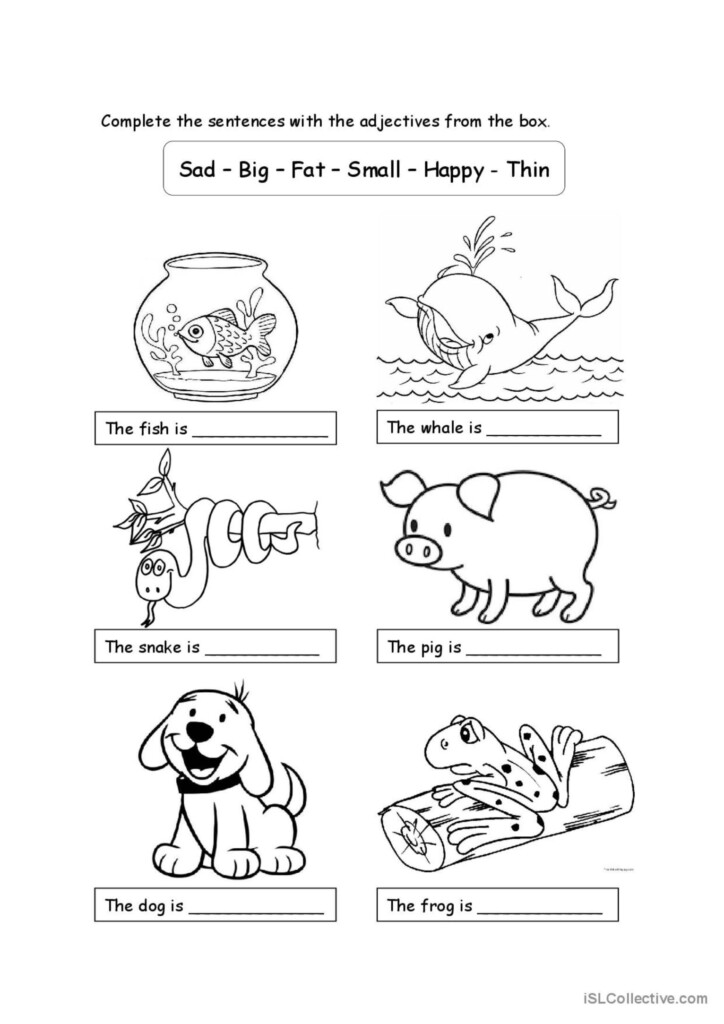 Animals And Adjectives For Children English ESL Worksheets Pdf Doc