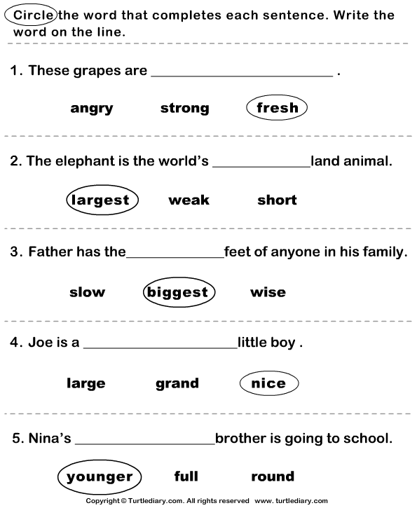  Circle The Adjectives Worksheet Free Download Gambr co