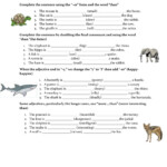 Comparatives And Superlatives Interactive And Downloadable Worksheet