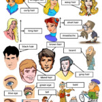 Describing People Picture Dictionary Worksheet Picture Dictionary