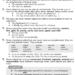 English Grammar Worksheets For Grade 10 Pdf Kidsworksheetfun