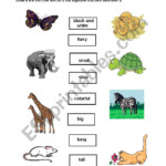 English Worksheets Animal Adjectives