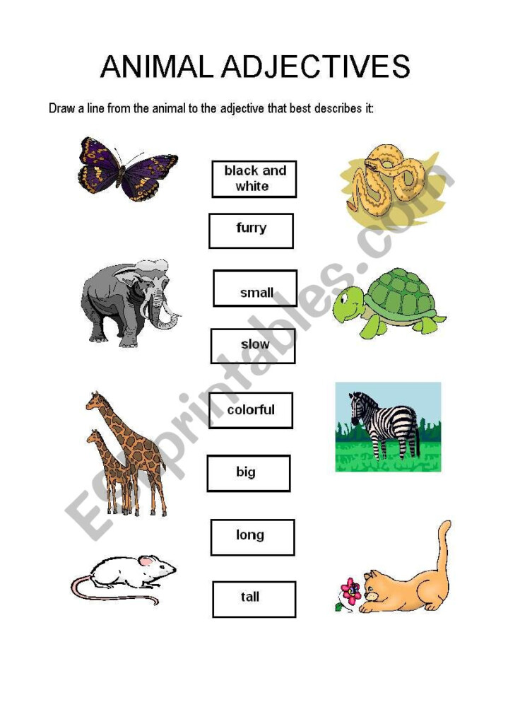 English Worksheets Animal Adjectives