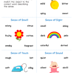 Explore Your Five Senses Printable Free Worksheet For Kids