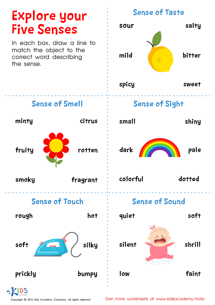 Explore Your Five Senses Printable Free Worksheet For Kids