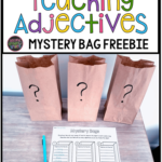 Free Hands on Adjective Activity My 2nd Graders Loved This Mystery Bag