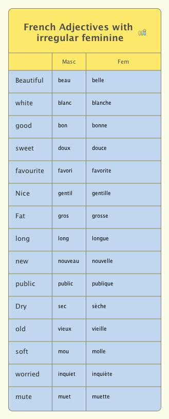 French Adjectives With Irregular Feminine XMind Online Library