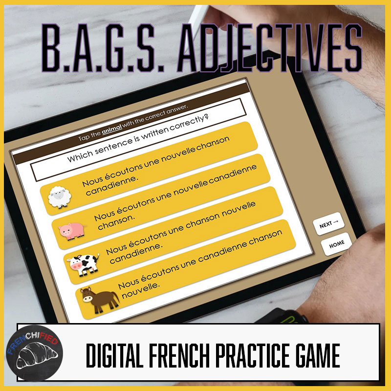 Bags French Adjectives Worksheet - Adjectiveworksheets.net