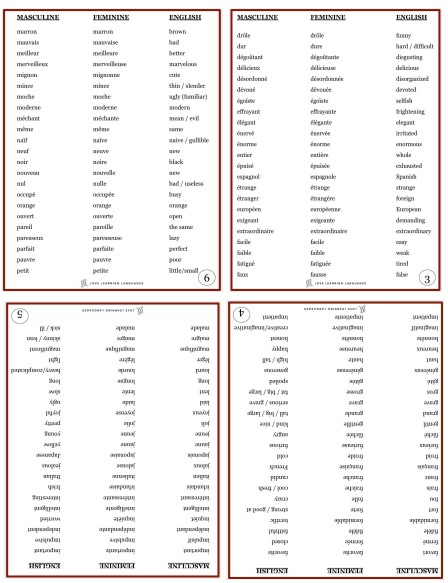 French Descriptive Adjectives Booklet Exercise Worksheet By Teach Simple