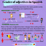 Gender Of Adjectives In Spanish En Tu Casa Spanish