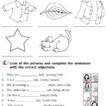 Grammar Grade 2 Grammar Lesson 9 Adjectives