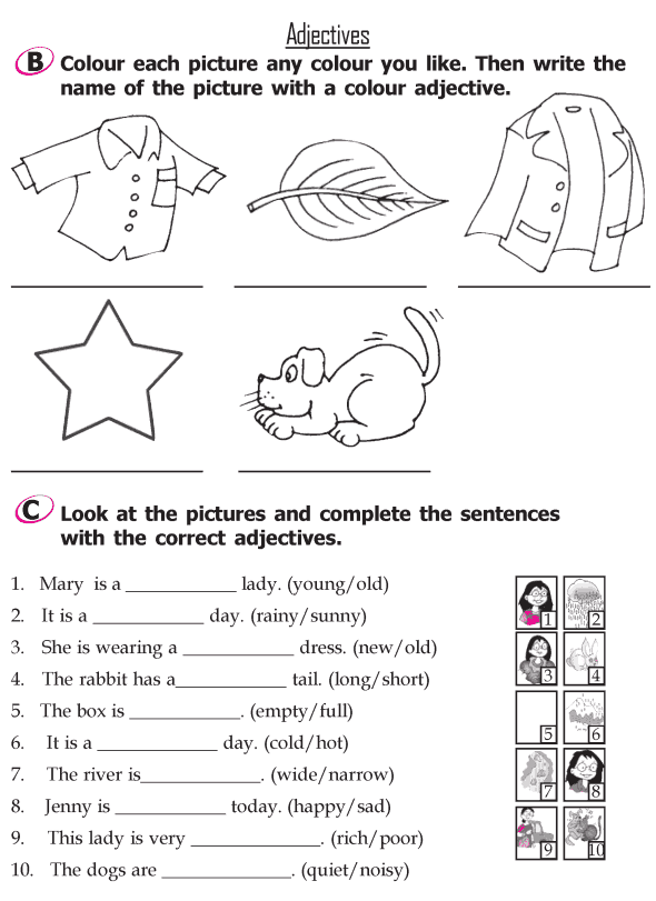 Grammar Grade 2 Grammar Lesson 9 Adjectives