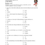 Identifying Adjectives Test 1 Reading Level 2 Preview