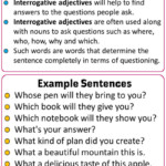 Interrogative Adjectives Definitions And Examples English Grammar Here