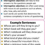 Interrogative Adjectives Worksheets With Answers Kidsworksheetfun