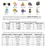 IRREGULAR ADJECTIVE AGREEMENT FRENCH By LanguagePlan it TpT
